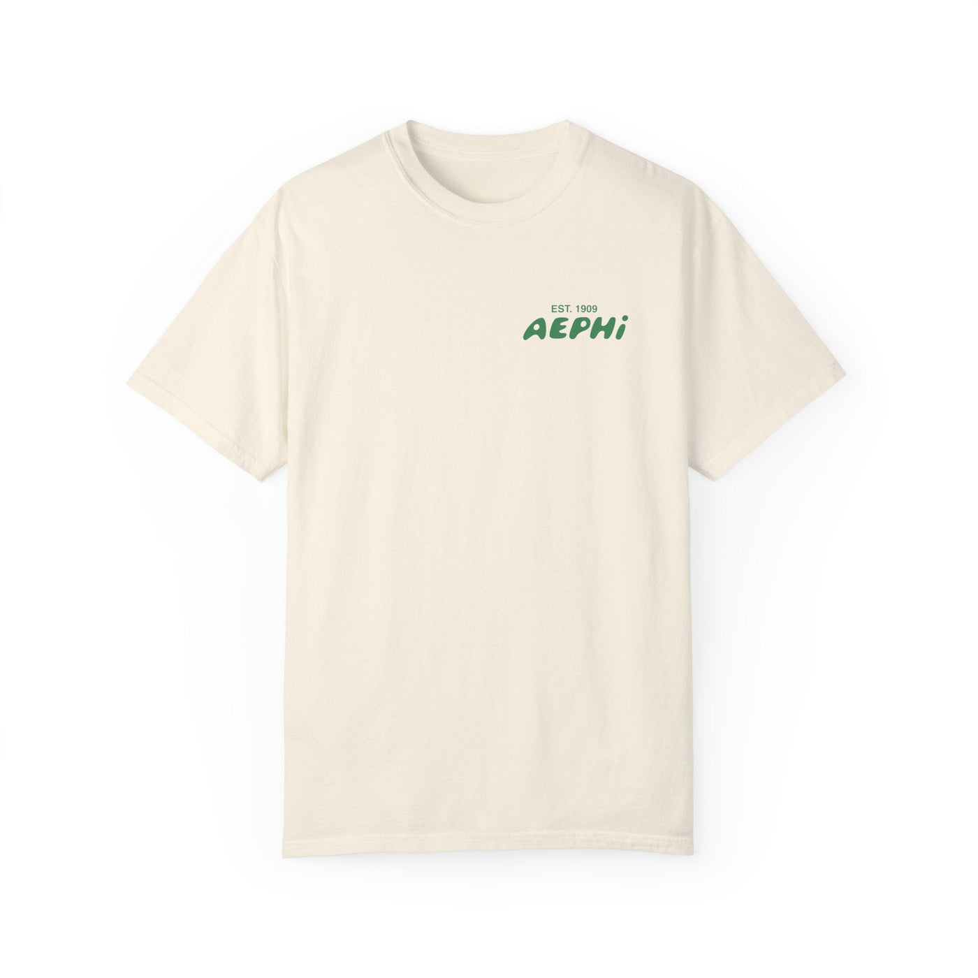 Alpha Epsilon Phi Bubble Letter T-Shirt | AEPhi Trendy College Greek Custom Oversized Shirt | Big Little Sorority T Shirt Gift