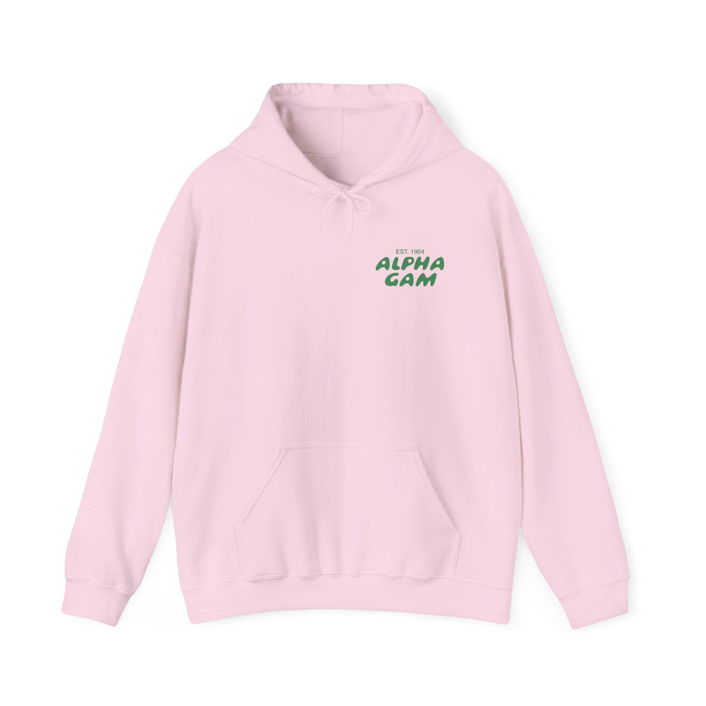 Alpha Gamma Delta Bubble Font Sorority Hoodie | Alpha Gam Trendy Sweatshirt | Big Little Gift | Recruitment Gift