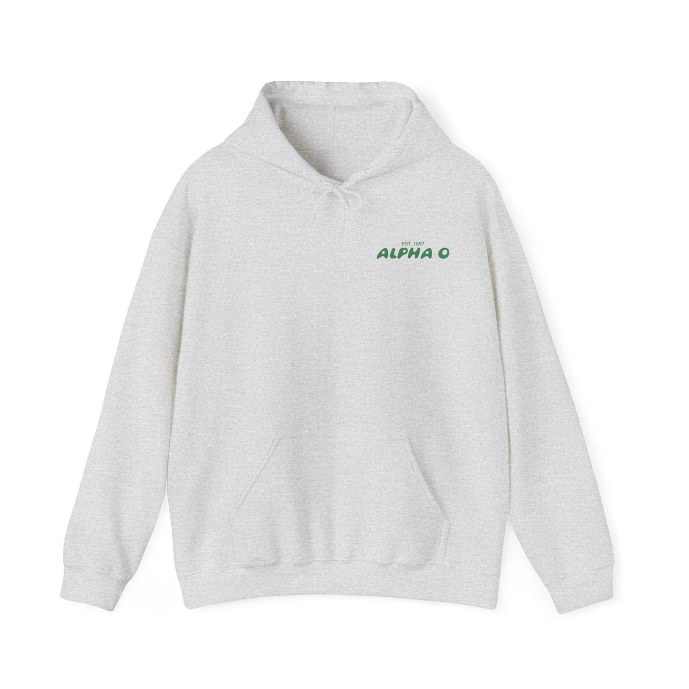 Alpha Omicron Pi Bubble Font Sorority Hoodie | Alpha O Trendy Sweatshirt | Big Little Gift | Recruitment Gift