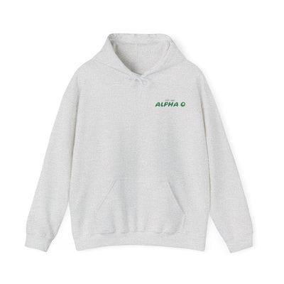 Alpha Omicron Pi Bubble Font Sorority Hoodie | Alpha O Trendy Sweatshirt | Big Little Gift | Recruitment Gift