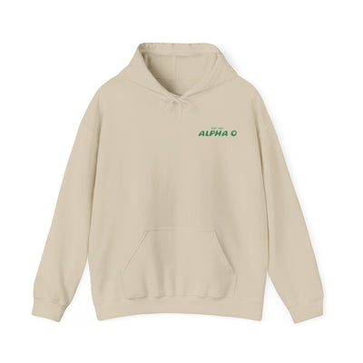 Alpha Omicron Pi Bubble Font Sorority Hoodie | Alpha O Trendy Sweatshirt | Big Little Gift | Recruitment Gift