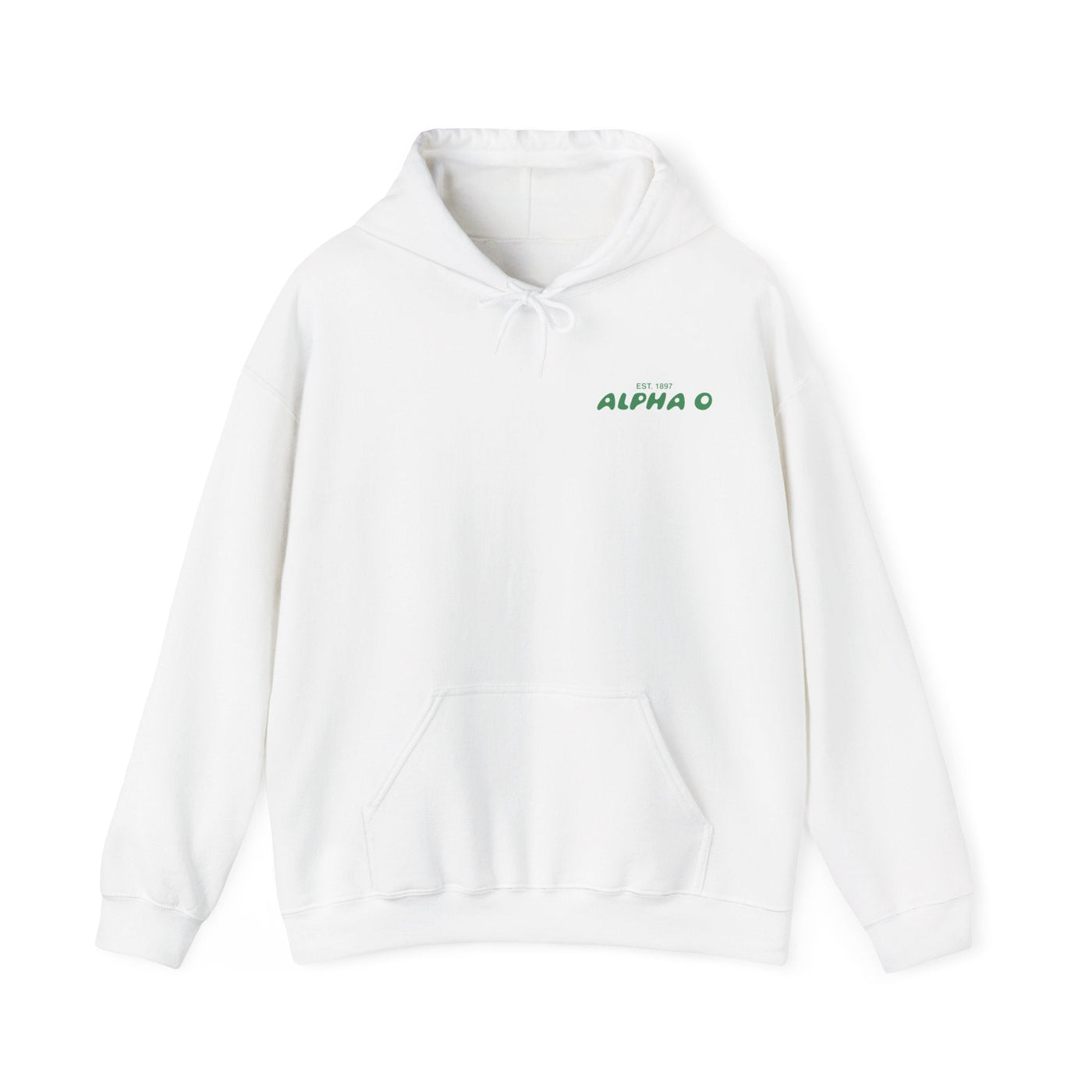 Alpha Omicron Pi Bubble Font Sorority Hoodie | Alpha O Trendy Sweatshirt | Big Little Gift | Recruitment Gift