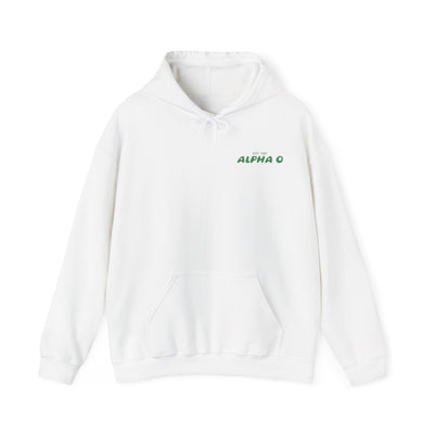 Alpha Omicron Pi Bubble Font Sorority Hoodie | Alpha O Trendy Sweatshirt | Big Little Gift | Recruitment Gift