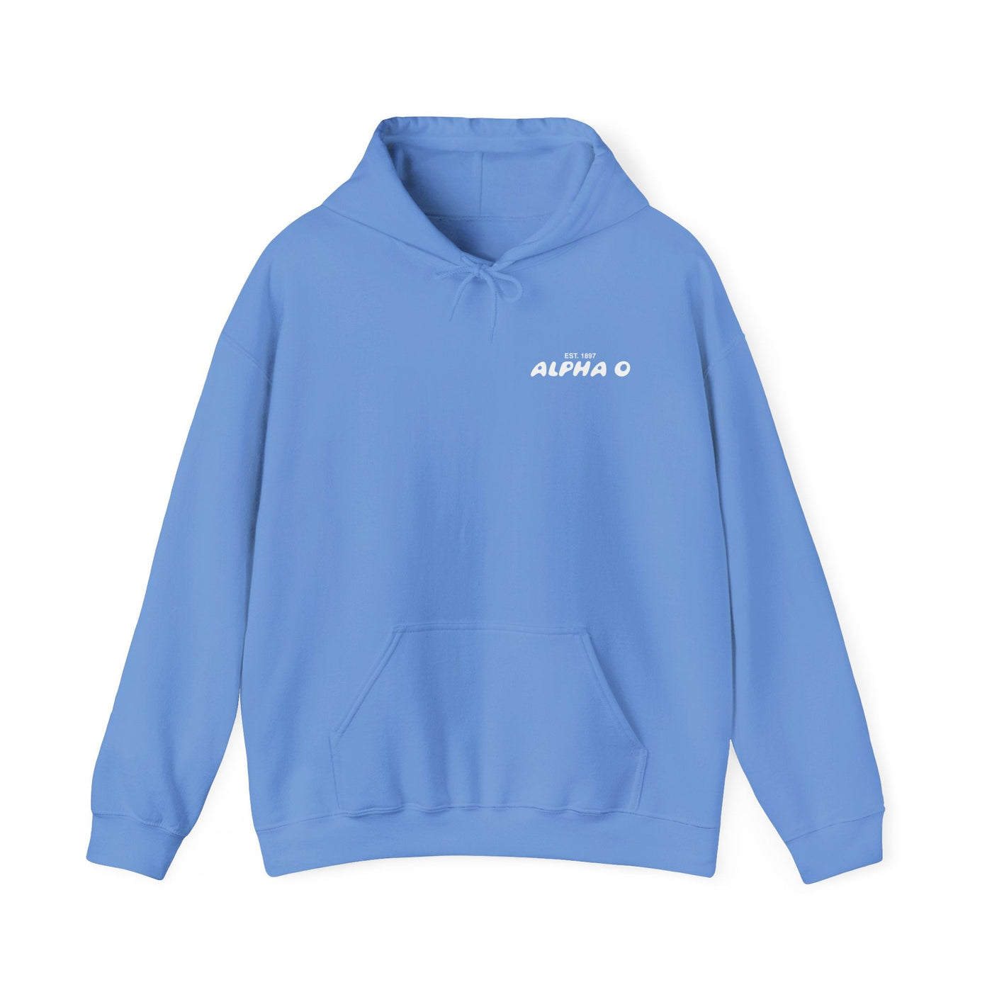 Alpha Omicron Pi Bubble Font Sorority Hoodie | Alpha O Trendy Sweatshirt | Big Little Gift | Recruitment Gift