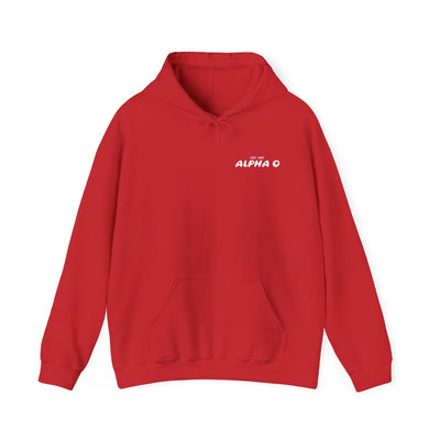 Alpha Omicron Pi Bubble Font Sorority Hoodie | Alpha O Trendy Sweatshirt | Big Little Gift | Recruitment Gift