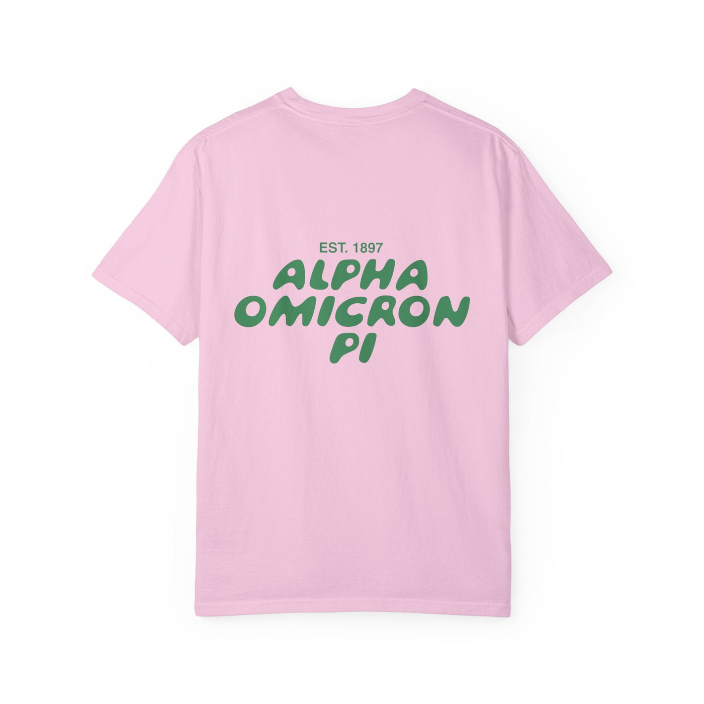 Alpha Omicron Pi Bubble Letter T-Shirt | Alpha O Trendy College Greek Custom Oversized Shirt | Big Little Sorority T Shirt Gift