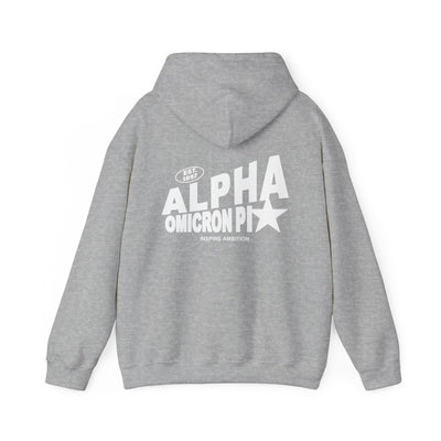 Alpha Omicron Pi Trendy Star Sorority Hoodie | Alpha O Cute Sweatshirt | Big Little Gift | Recruitment Gift