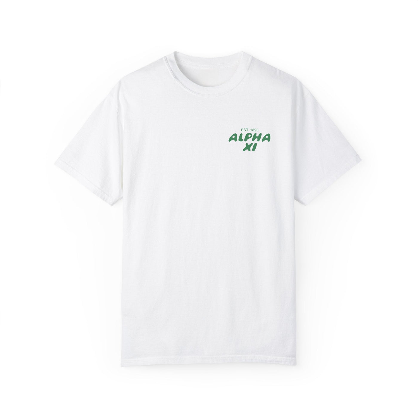 Alpha Xi Delta Bubble Letter T-Shirt | Alpha Xi Trendy College Greek Custom Oversized Shirt | Big Little Sorority T Shirt Gift