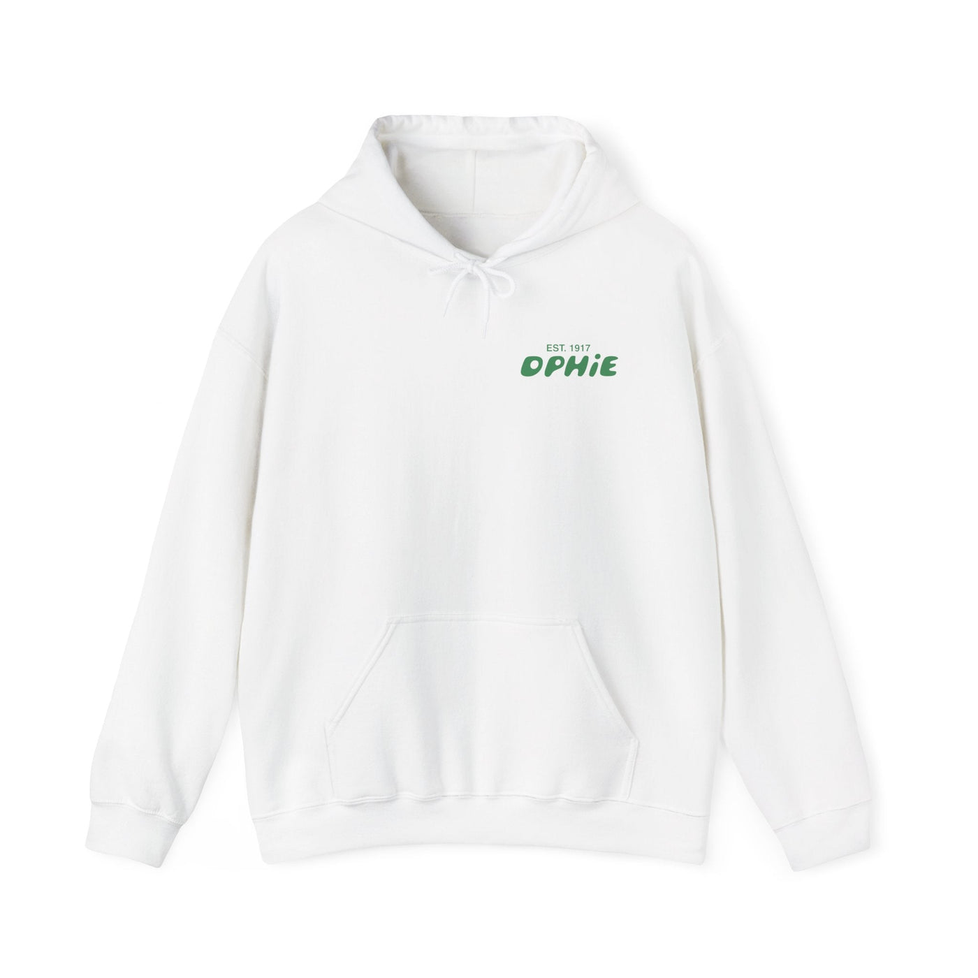 Delta Phi Epsilon Bubble Font Sorority Hoodie | DPhiE Trendy Sweatshirt | Big Little Gift | Recruitment Gift