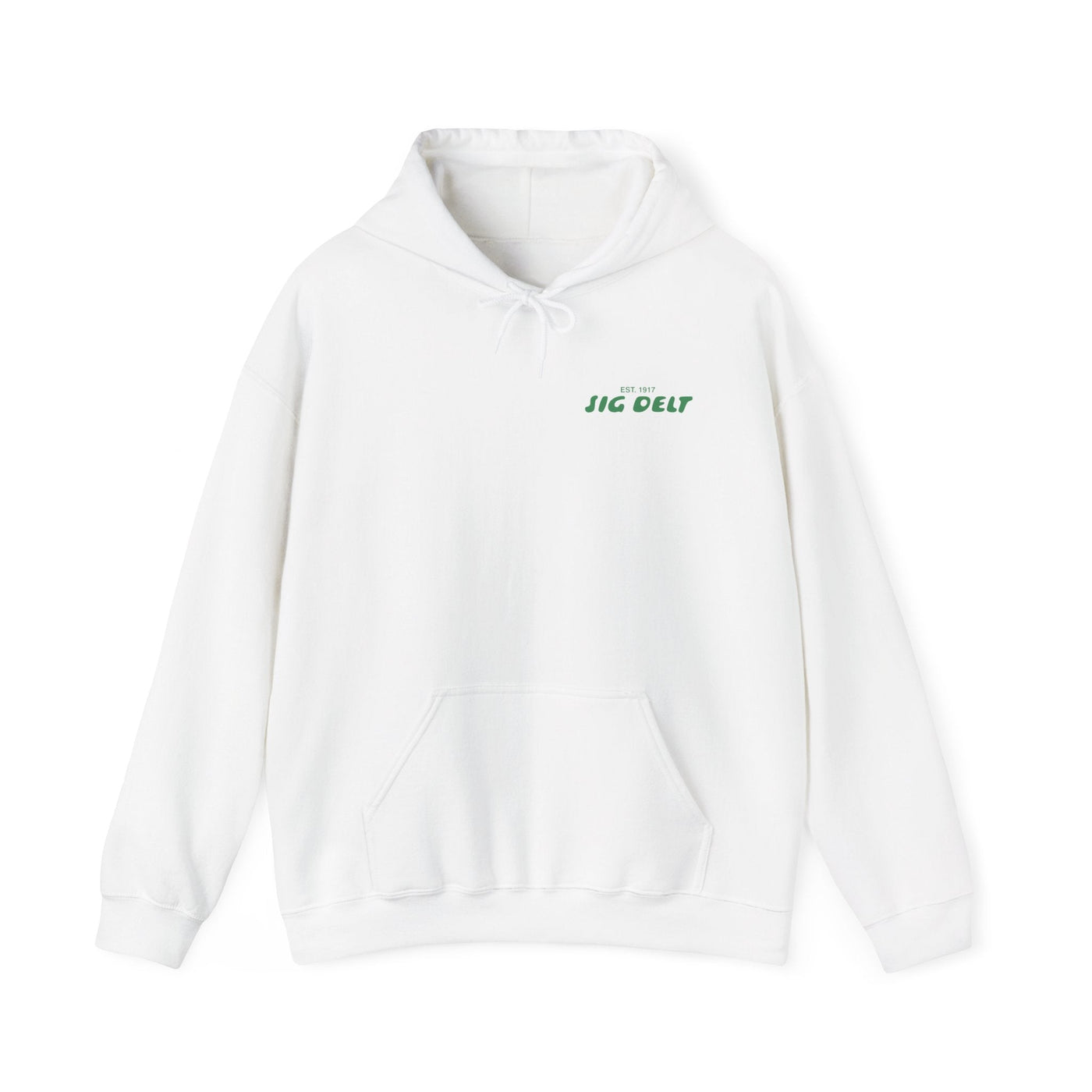 Sigma Delta Tau Bubble Font Sorority Hoodie | Sig Delt Trendy Sweatshirt | Big Little Gift | Recruitment Gift