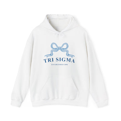 Sigma Sigma Sigma Ribbon Sorority Hoodie | Tri Sigma Trendy Sweatshirt Big Little Recruitment Gift