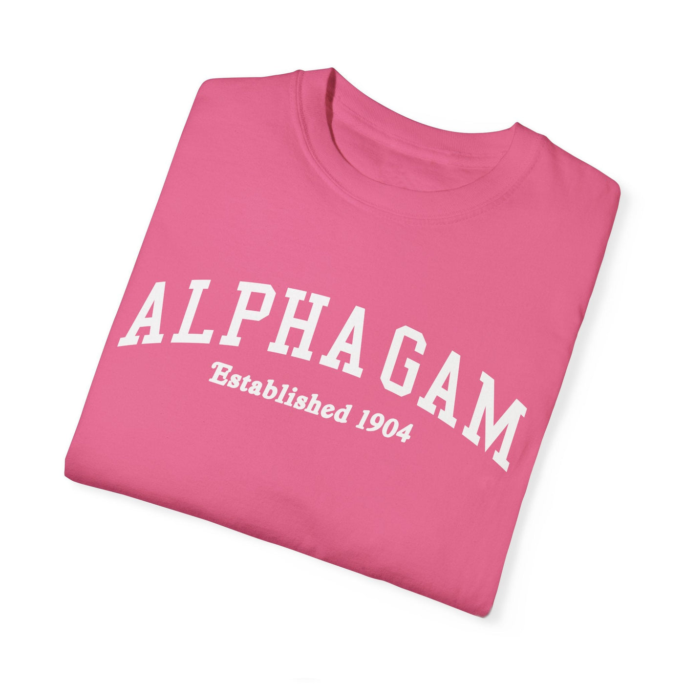 Substitute Alpha Gamma Delta Varsity College Sorority Comfy T-Shirt