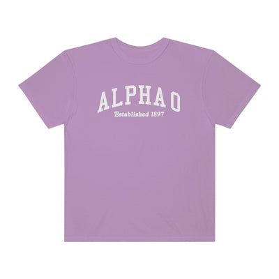 Alpha Omicron Pi Varsity College Sorority Comfy T-Shirt