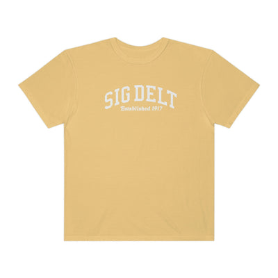 Sigma Delta Tau Varsity College Sorority Comfy T-Shirt