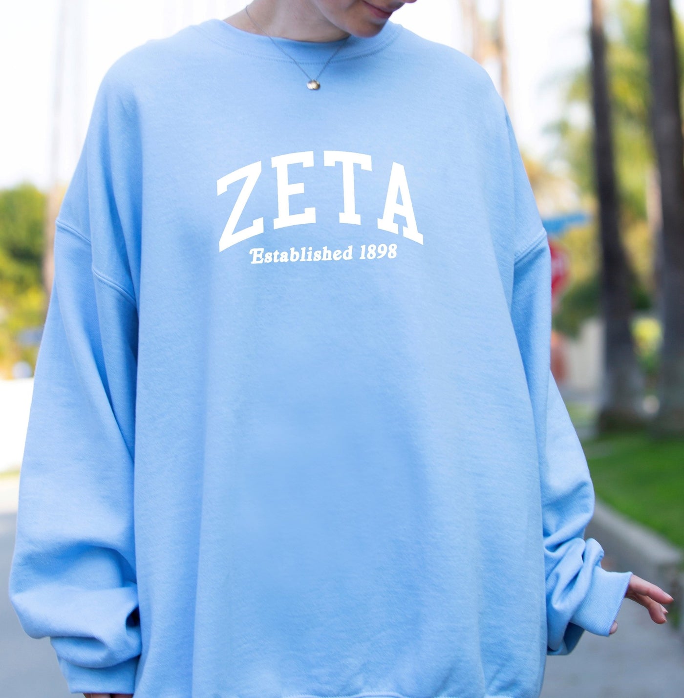 Zeta Tau Alpha Sorority Varsity College Zeta Crewneck Sweatshirt